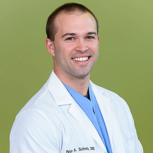 Dr Brian Schmitz Dr. Brian Schmitz